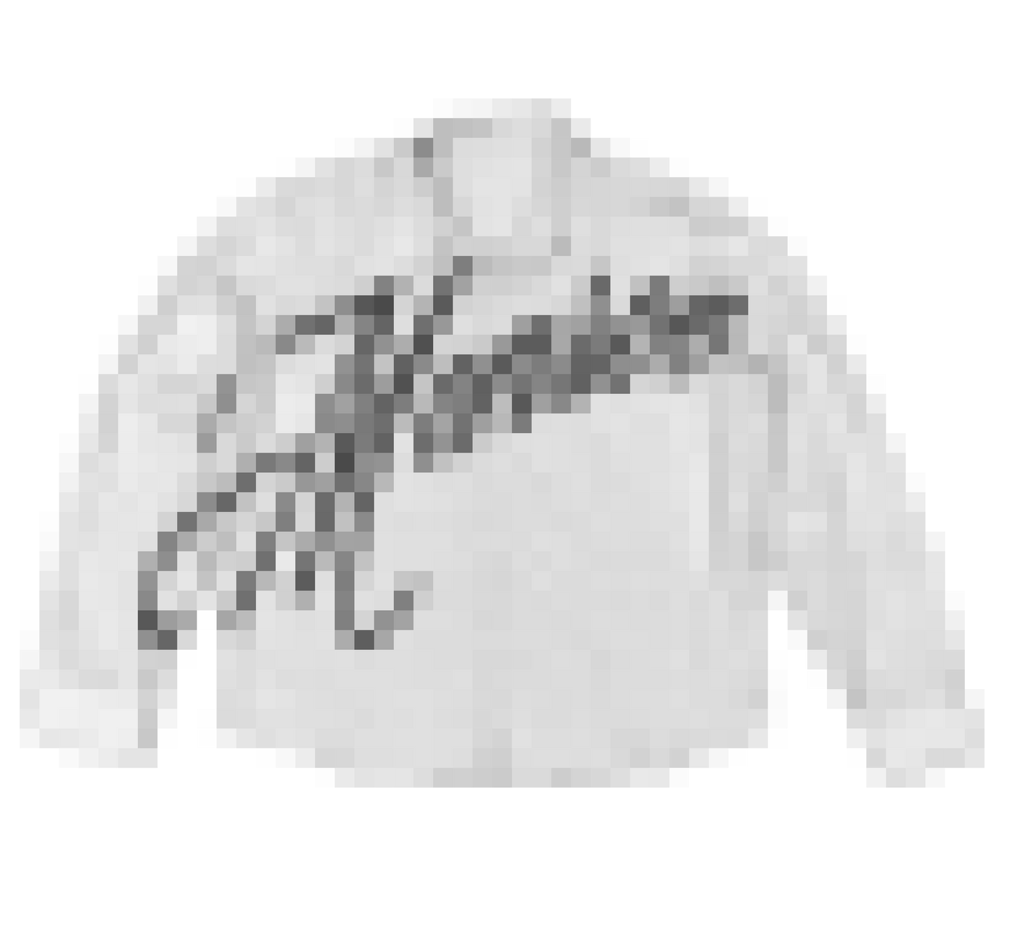 COMING SOON - ROE SHIRT